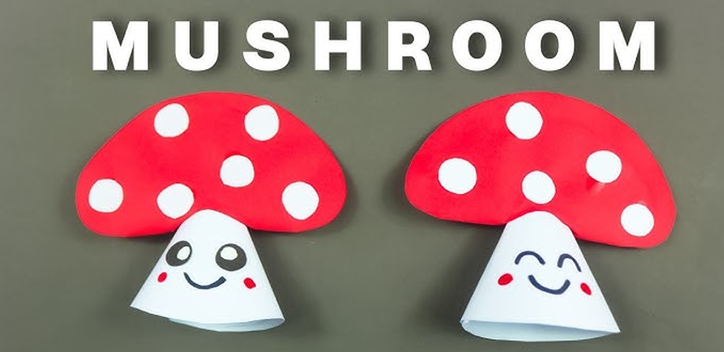 HighQ Shrooms for Kids