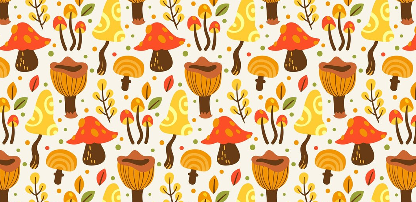 HighQ Shrooms for Kids